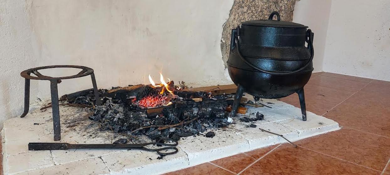 A Casa Da Rapariga De Cabelo Azul Apartman Manteigas Kültér fotó