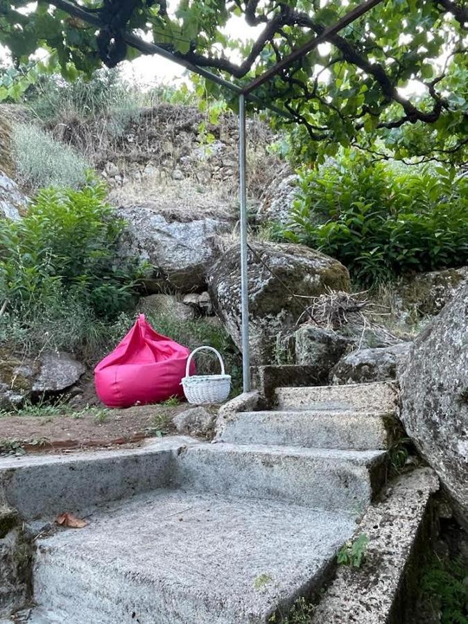 A Casa Da Rapariga De Cabelo Azul Apartman Manteigas Kültér fotó